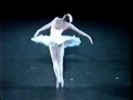 Camille Saint-Saëns: Carnival of Animals - The Dying Swan (Le Cygne) - Dancer, Svetlana Zakharova
