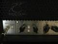 Peavey 6505+ Clean Channel Demo Video