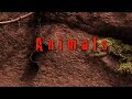 Animals (2008) Free Online Movie
