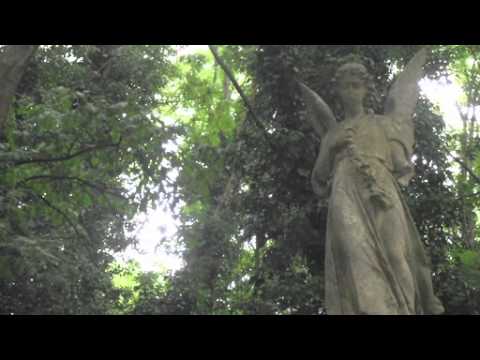 Angel Burn by L.A. Weatherly Angel Burn by L.A. Weatherly