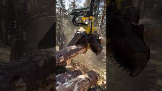 Harvester 1270G #Bosque #Love #Johndeere #Wood #Tree #Montains #Harvester #Viral #Machine