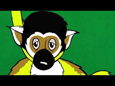 808 Skate Brass Monkeys