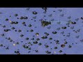 Public Beta