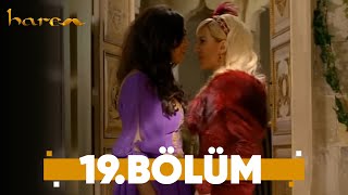 Harem - 19. Bölüm