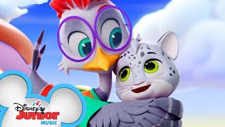 Wilburt WoodBird | T.O.T.S | @Disney Junior