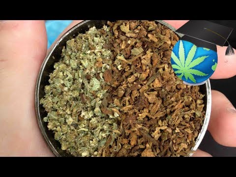 Secret Smoke Video