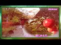 安達明さん　～初　恋～