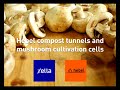 mushroom cultivation