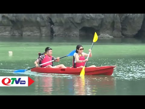 Bảo tồn đa dạng sinh học vịnh Hạ Long | QTV