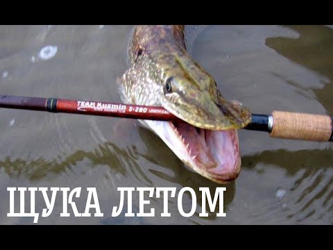 на что клюет щука в июле на что клюет щука в июле