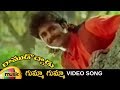 Ramudochadu Telugu Movie Songs | Gumma Gumma Video Song | Nagarjuna | Soundarya | Mango Music