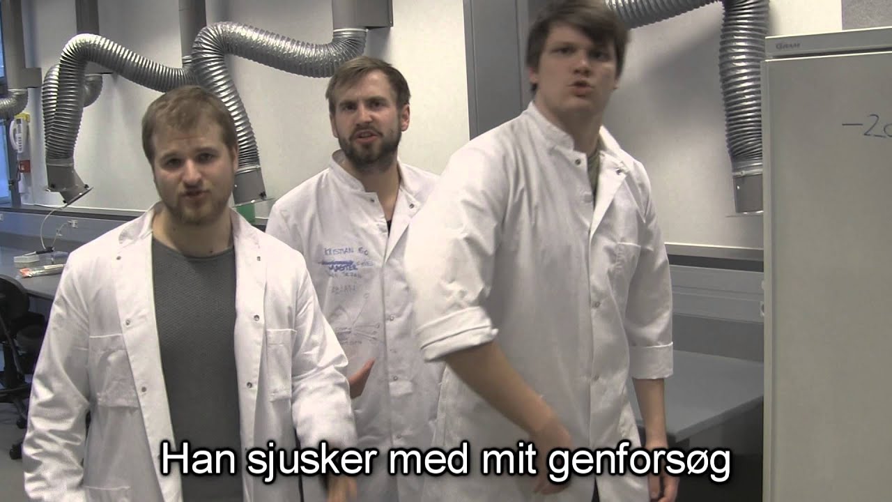 Malk De Koijn - Vi Tager Fuglen På Dig Malk De Koijn - Vi Tager Fuglen På Dig