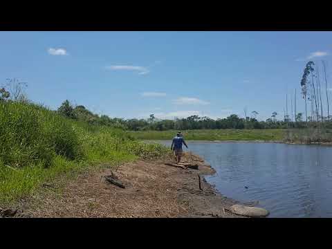 Pessoal hoje eu peguei 7 traíras ficar no vídeo ante o final pra ver os peixes obrigado a todos Pessoal hoje eu peguei 7 traíras ficar no vídeo ante o final pra ver os peixes obrigado a todos