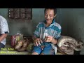 Bất Ngờ Cuộc Sống "Người Rừng" Hồ Văn Lang Sau Hơn 5 Năm Trở Về Buôn Làng - Vietnamese Tarzan