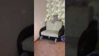 Видео Тольятти Ленинский проспект 23 от охотник на монстров, Ленинский проспект, Тольятти, Россия