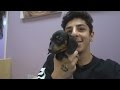 BUYING A NEW DOG!!