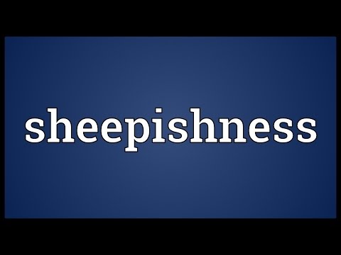 Header of sheepishness
