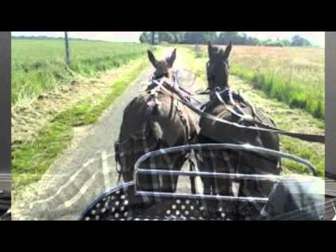 Dans Notre Roulotte Video