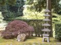 ! MAD ! - Wise Man - Japanese Garden