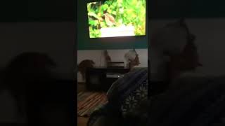 Best Funny Memes From Ifunny - Ep.126 Square