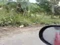 Video de Otatitlan