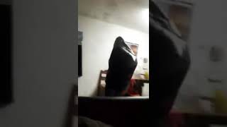 La Basura Pendeja Bailando