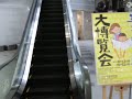 横浜・日本新聞博物館で展示されている・印刷機の様子