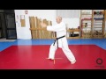 T Cnicas De Pierna Aprende Karate Hasta Cintur N Verde images T Cnicas De Pierna Aprende Karate Hasta Cintur N Verde