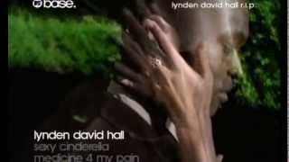 Watch Lynden David Hall Sexy Cinderella video