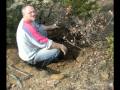 Trinacria bonsai forum.wmv Bonsai Tree Review