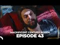 Magnificent Century: Kosem Episode 43 (English Subtitle)