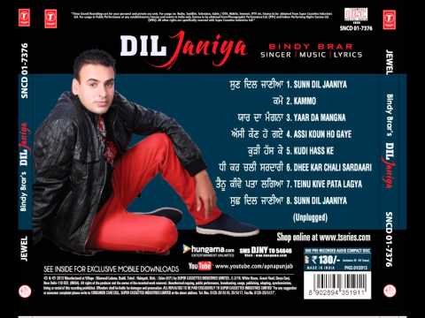 Tenu Kive Pata Lagya Punjabi new song 2013 May feat. yo yo...