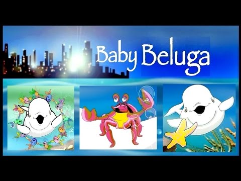BABY BELUGA