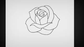 How to draw rose flower, drawing and painting rose flower