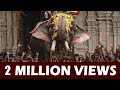 Thechikottukavu Ramachandran Mass Entry at Thrissur Pooram - 4K Video ARN MEDIA