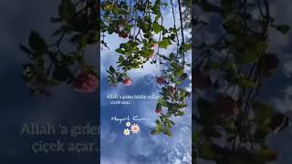 Hayirli Allar Dini Status Whatsap Durumluk