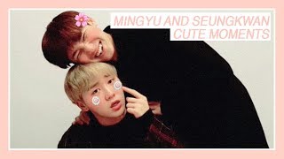 ?Why you should ship: GYUBOO (Seungkwan x Mingyu)