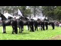 LOS CABALLOS MAS HERMOSOS DEL MUNDO