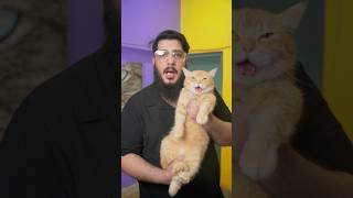 3 Surprising Facts About Cats.