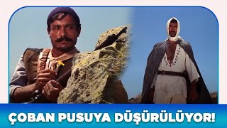 AĞIT Türk Filmi | Çoban, Pusuya Düşürülüyor!