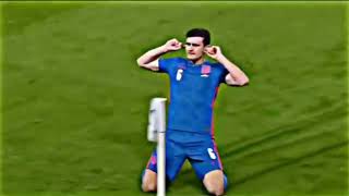 Free Harry Maguire Clip-Free Clip-4K
