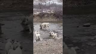 Two Mothers Of Many Children Met By A Stream
