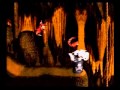 Donkey Kong Country
