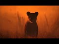 Pride Video preview