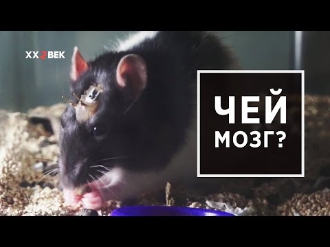 Fucking Brain в XXII веке ДРУГИЕ МЕРОПРИЯТИЯ И НОВОСТИ