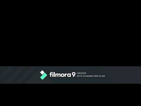 Crime Does Pay Video