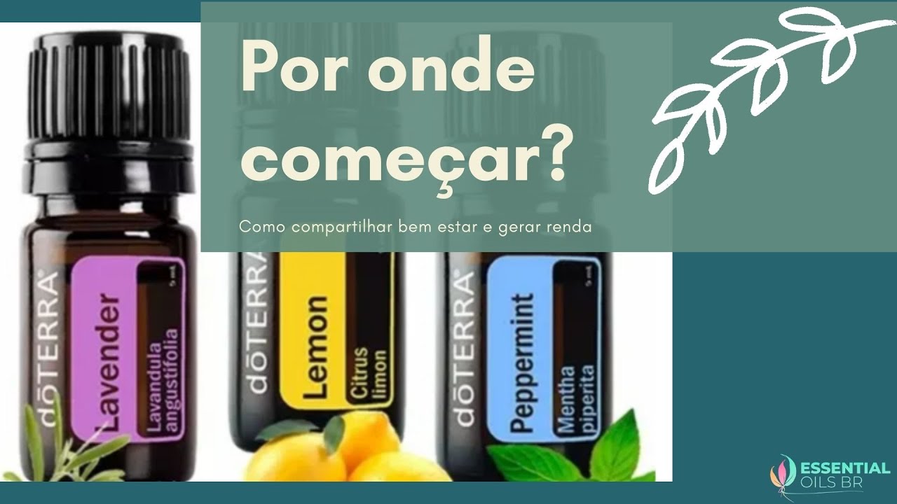 Mini Curso Consultores