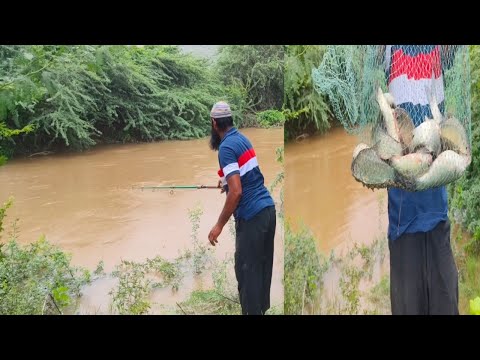 సింగల్ ఉక్కు నైస్ జాబ్గ్#lifeisbutadream #fish 👍👍👍🌹🌹