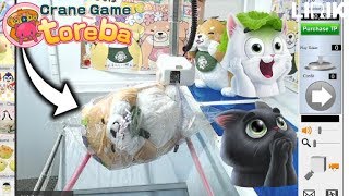 Trying To Win On A Japanese Crane Game - Toreba Crane Game