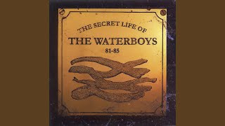 Watch Waterboys Going To Paris video